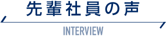 先輩社員の声